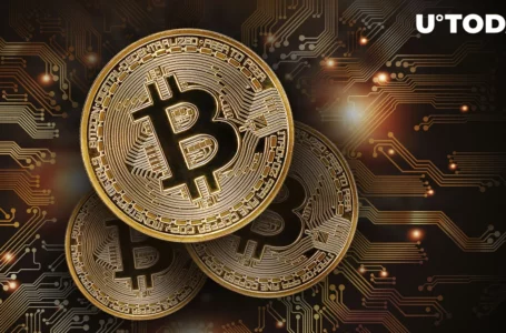 You Only Have 12% of Bitcoin (BTC) Supply Left to Buy