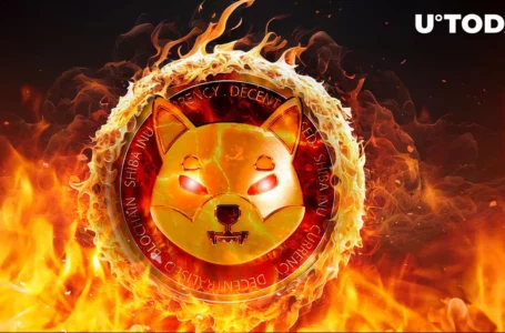 SHIB Burn Rate Springs 456%, Price Reacts by Printing Big Rise