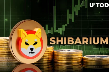 Shibarium Transactions Surge by 50% as Shiba Inu Expands Utility