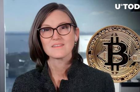 Cathie Wood’s Rumored Bitcoin Holdings Reduction Sparks Market Speculation