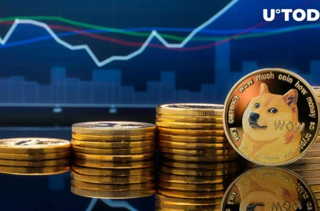 Dogecoin Founder Shares Take on Record Jump in DOGE Transactions