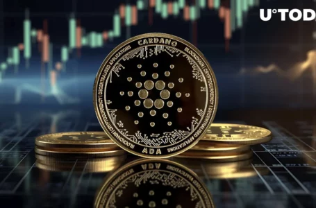 Cardano (ADA) Price Makes Unexpected Breakthrough