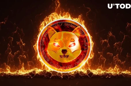 Shiba Inu (SHIB) Burn Rate Goes Parabolic With 499,363% Jump, What It Means for Price