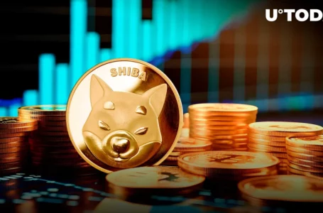 Shiba Inu (SHIB) Breaks New Record, Here’s Why It Matters
