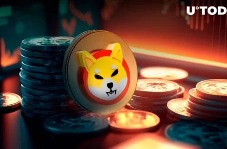 Shiba Inu (SHIB) Cryptic Text Thrills Community