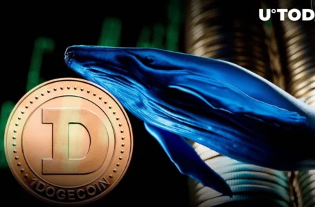 Dogecoin Whale Moves Over 103 Million DOGE from Robinhood