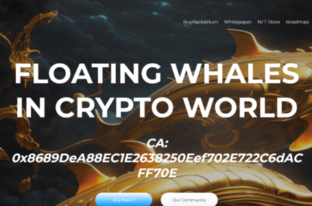BNB Whales Review: All To Know About