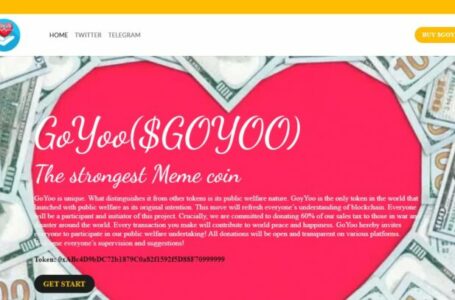 GoYoo Review: All You Need To Know