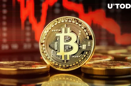 Top Trader Weighs In on Bitcoin (BTC) Price Downturn