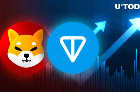 Shiba Inu (SHIB) Slips Below Toncoin (TON); Key Reasons Why