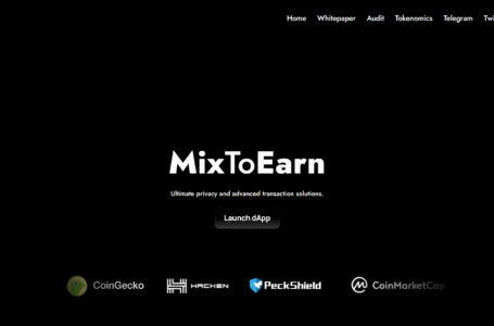 MixToEarn Review: All To Know About