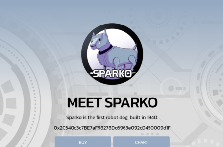 Sparko Review: All To Know About