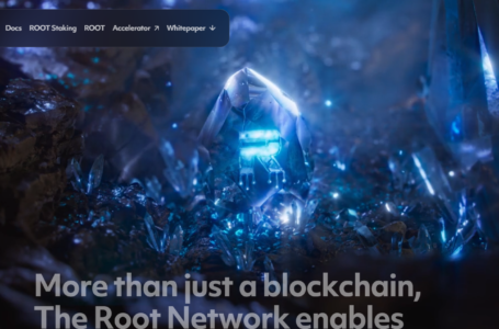 The Root Network Review: Everything To Know