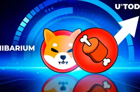 Shiba Inu’s BONE Eyes Jaw-Dropping 898% On-Chain Explosion Thanks to Shibarium