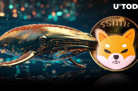 4.4 Trillion SHIB Shoveled by Anon Whales as Price Begins to Increase