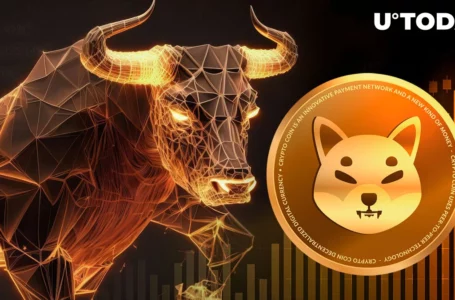 Shiba Inu (SHIB) Hits Reset Button, Eyes Bullish Comeback
