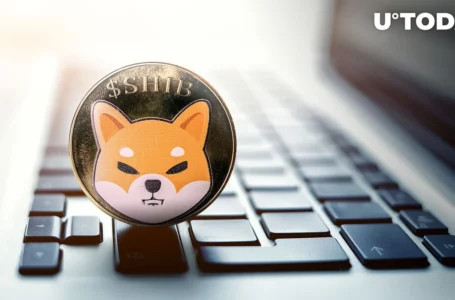 Shiba Inu (SHIB) Forms Crucial Divergence You Don’t Want to Miss