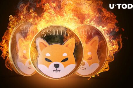 SHIB Weekly Burn Rate Jumps as Shiba Inu Hits Network Milestone