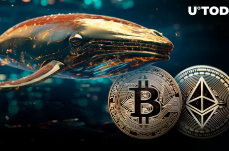 Institutional and Whale Demand for Bitcoin and Ethereum Skyrockets