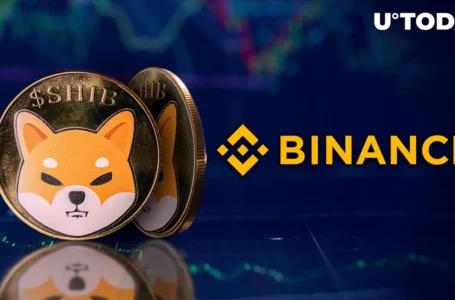 536 Billion Shiba Inu (SHIB) Transferred by Binance: What’s Happening?