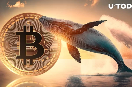 Bitcoin Whale Goes on Massive Selling Spree