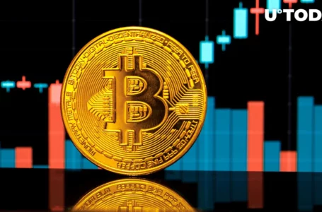 Bitcoin Halving Might Spark 400% Bull Run, Here’s Predicted Timing