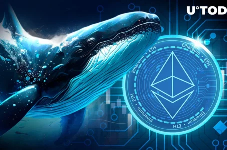 Ethereum (ETH) Bullish Whales Coming Back With Enormous Longs