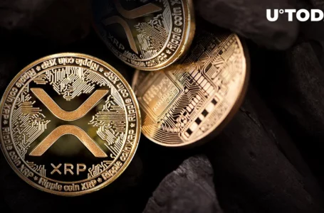 XRP Price Hits Adamantium Support Level: Up From Here?
