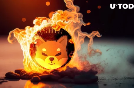 Shiba Inu (SHIB) Weekly Burn Drops to Lowest in Months, Hype Fading?