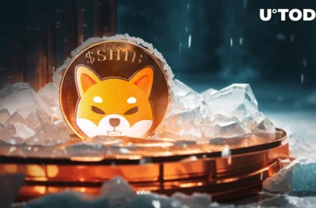 Shiba Inu’s December Drama: SHIB Investors Buckle Up for Price Roller Coaster
