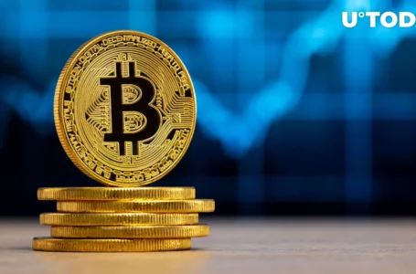 Bitcoin Price Has Odds to Hit $47,360 If This Scenario Plays Out: Analyst