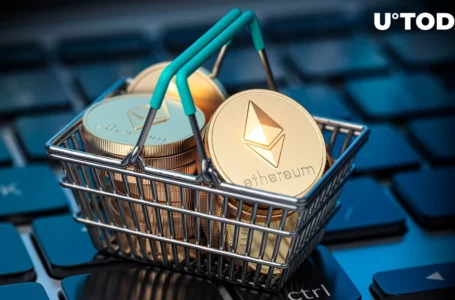 Ethereum Foundation Moves Big ETH Lump – Sell-off Coming?
