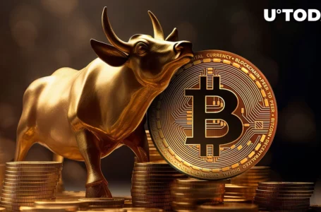 Bitcoin (BTC) Price History Secret: Here’s Why This December Might Be Bullish