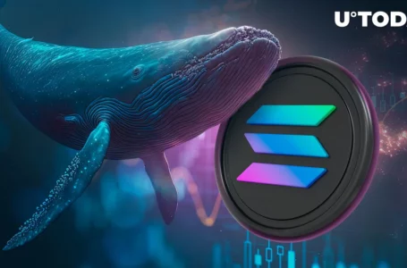 Whale Makes Big Moves on Solana (SOL) — Is Trend Reversal on Horizon?