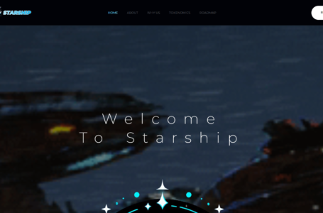Starship Review: All You Need To Know