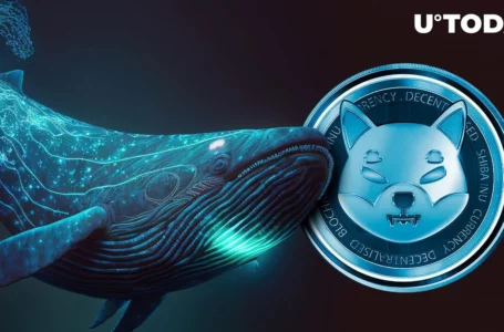 Tron Founder and Other Shiba Inu (SHIB) Whales: Who’s Loading Up on Millions?