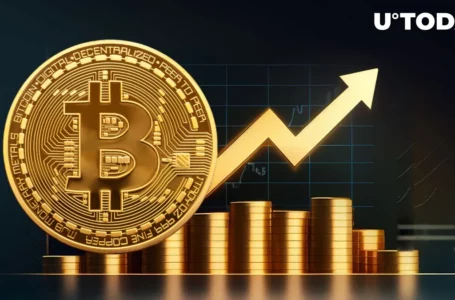 Key Reasons Why Bitcoin (BTC) Price Has Just Hit New 2023 Peak