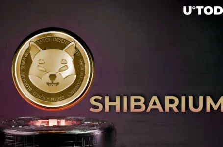 Shiba Inu (SHIB) Dev Ends Speculation on 34 Million Shibarium Transactions