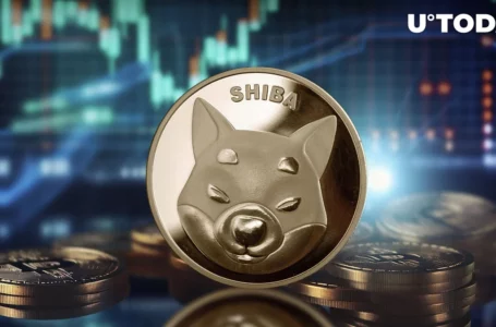 Shiba Inu (SHIB) 13% Price Increase: What’s Next and New Target