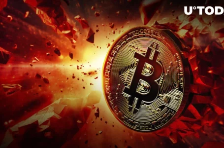 Bitcoin Developers to Kill Ordinals, War in BTC Community Begins
