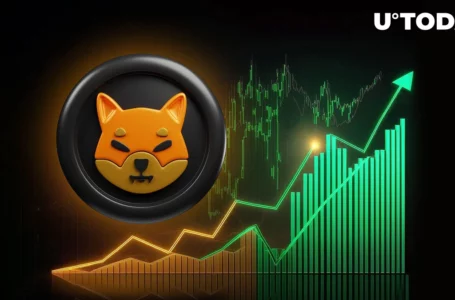 Shiba Inu Breaks Multimonth Record in 363% On-chain Boost Amid SHIB Price Surge