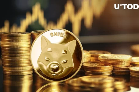 Shiba Inu Beat Ethereum? SHIB Shows Surprising Resilience Amid Market Dip