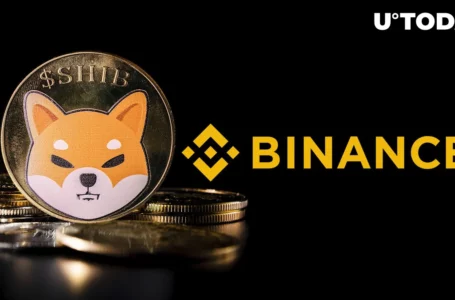 Shiba Inu Token Scores New Binance Listing Amid 28% SHIB Price Surge in Q4