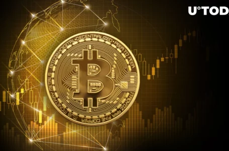Bitcoin Ordinals Smash Records With $36 Million Trading Frenzy – Time to Dive In?