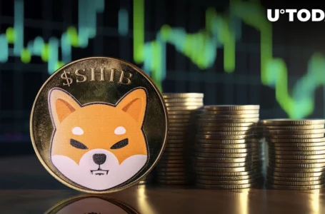 Shiba Inu (SHIB) Witnesses Unusual Transaction Boom for Two Days in Row