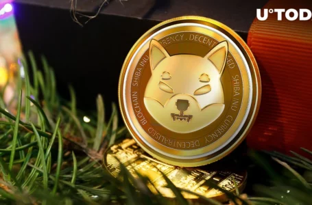 Shiba Inu: Important Christmas Giveaway Teased by SHIB Team