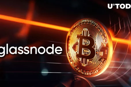 Bitcoin Halving’s Approximate Date Figured out by Glassnode