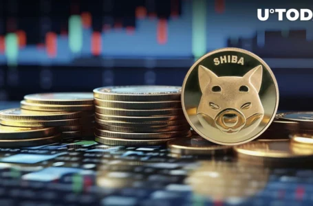 Shiba Inu (SHIB) Recovery Leaves 38% of Holders in Profit – Bullish Sign for SHIB?