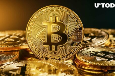 Bitcoin (BTC) Just Reached New All-Time High