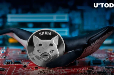 14 Trillion Shiba Inu (SHIB) Moved by Whales in Last 24 Hours: What’s Behind It?